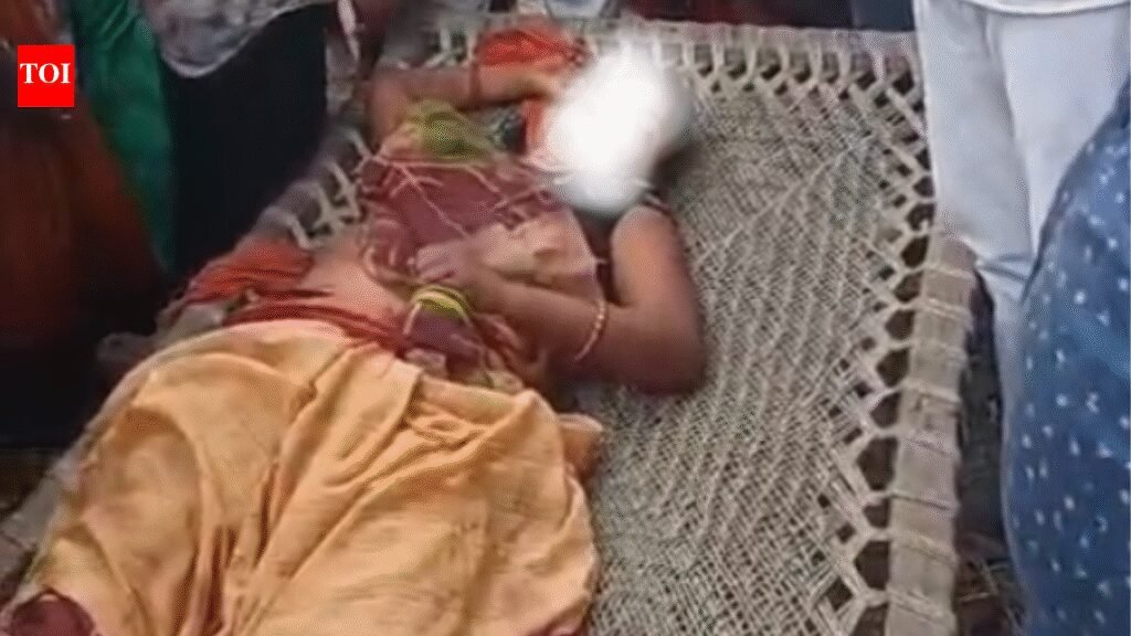 Woman killed in tiger attack while collecting firewood near forest in UP’s Bahraich | Lucknow News