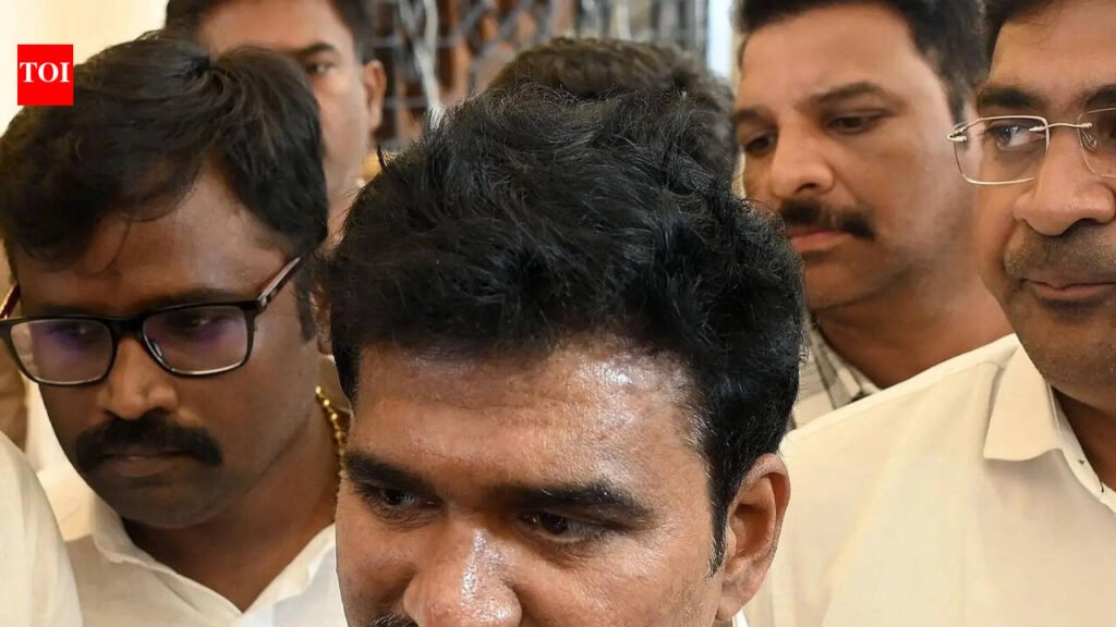 Focus on improving operational efficiency in power sector, says Tamil Nadu minister | Chennai News