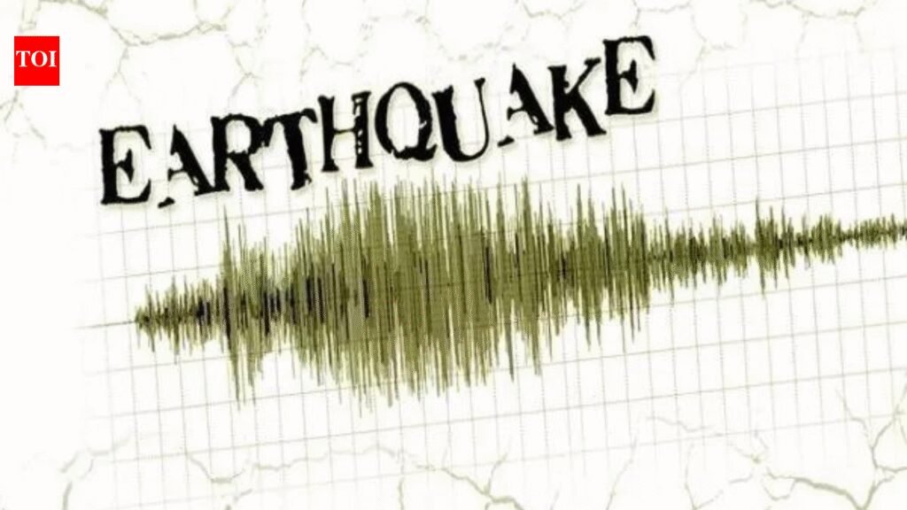 Earthquake with magnitude 6.9 hits Chile: USGS