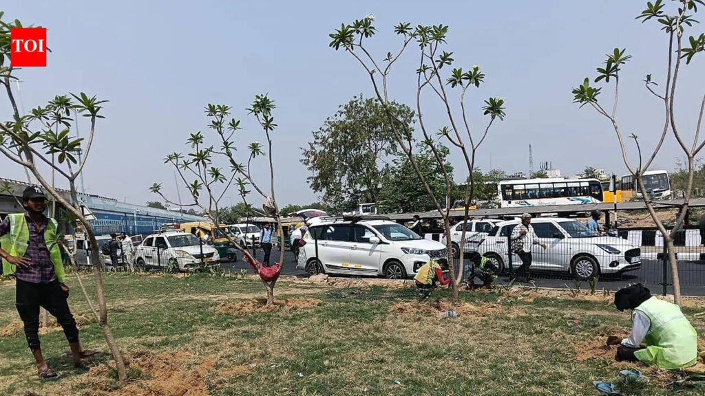 Greenbelts, landscaping, plantation: Revamp at 5 junctions to cut heat and pollution | Gurgaon News