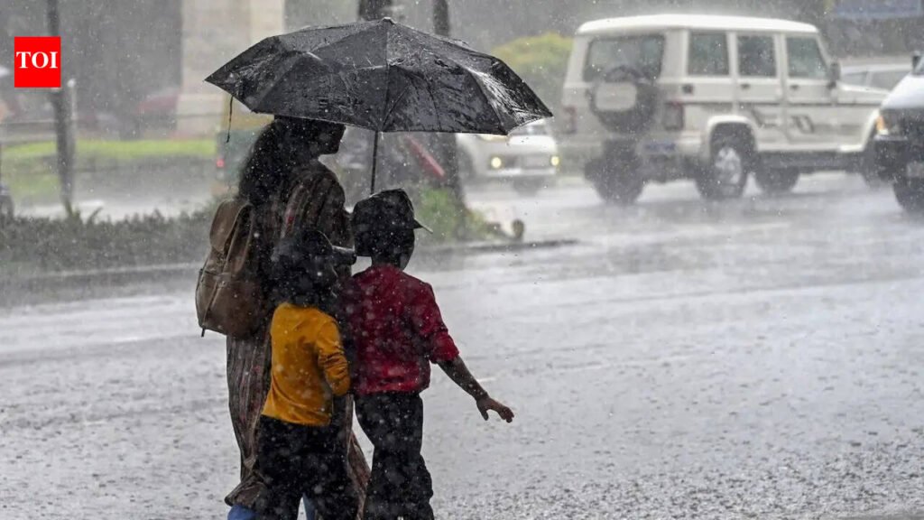 Bengaluru weather: IMD issues orange alert for very heavy rain in several Karnataka districts for next 3 hours | Bengaluru News