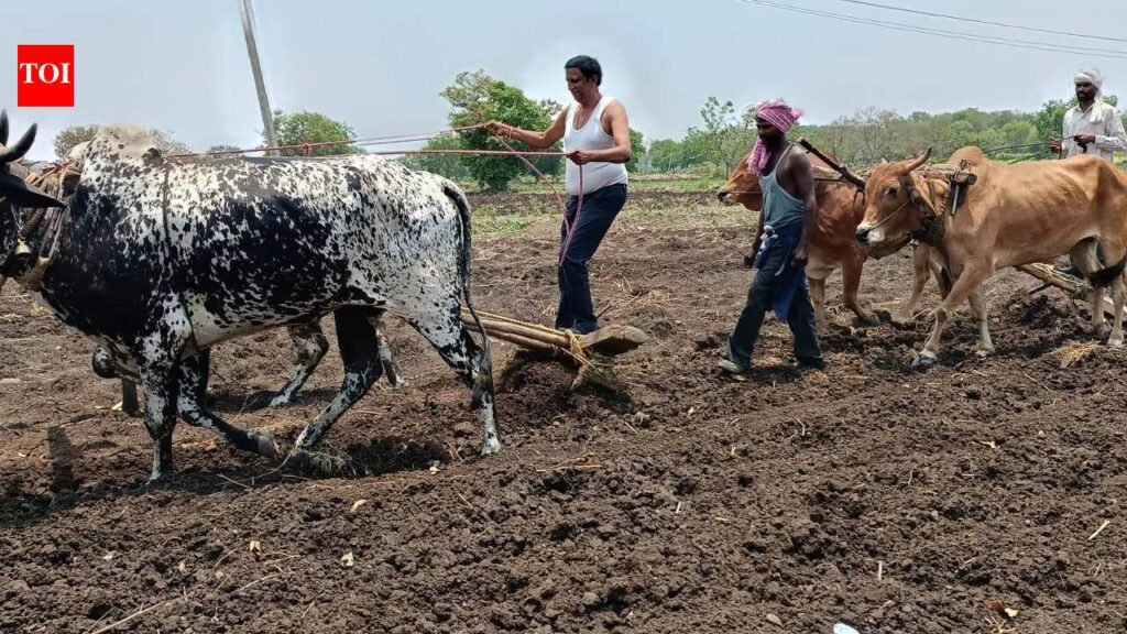 EC clears state’s proposal for farm loan waiver | Mumbai News