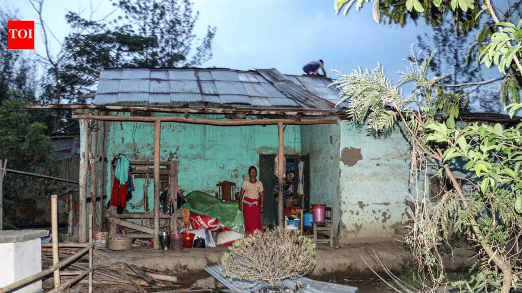 Storm damages crops and houses in E Champaran | Patna News