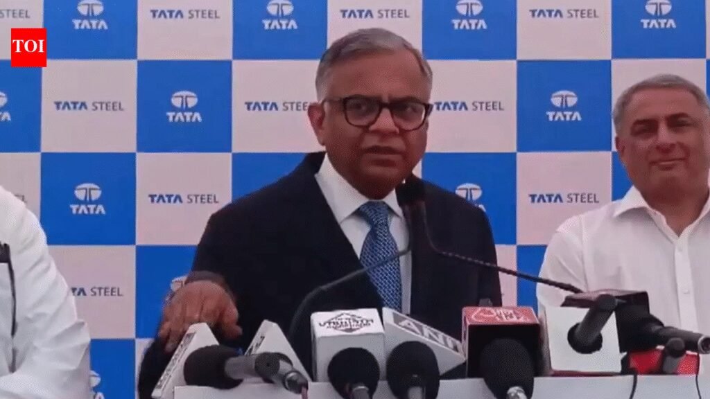 N Chandrasekaran unveils 3-year plan to cut losses in Tata new businesses