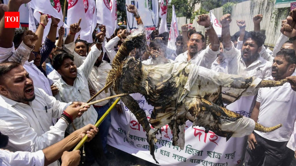 Aasu burns effigies of Union min Puri to protest fuel rates | Guwahati News