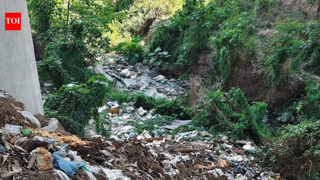 Untreated sewage pollutes river; threatens water supply | Chandigarh News
