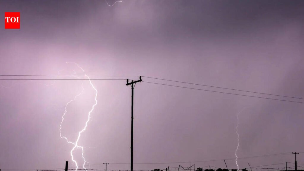 2 die, cow killed in lightning strikes | Mysuru News