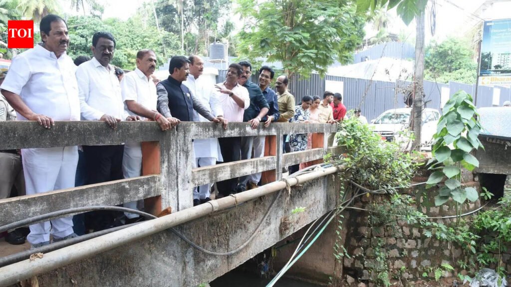 Rs 1,250 cr sought for Mangaluru UGD, other works | Mangaluru News