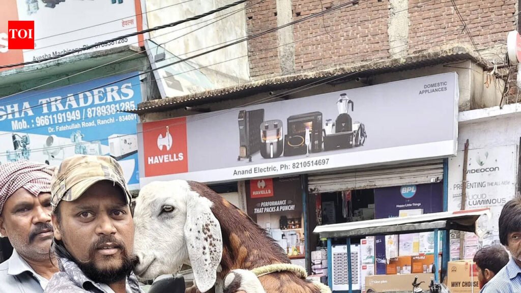 Bahubali and Dhurandhar goats steal show this Bakrid amid price surge in Ranchi | Ranchi News
