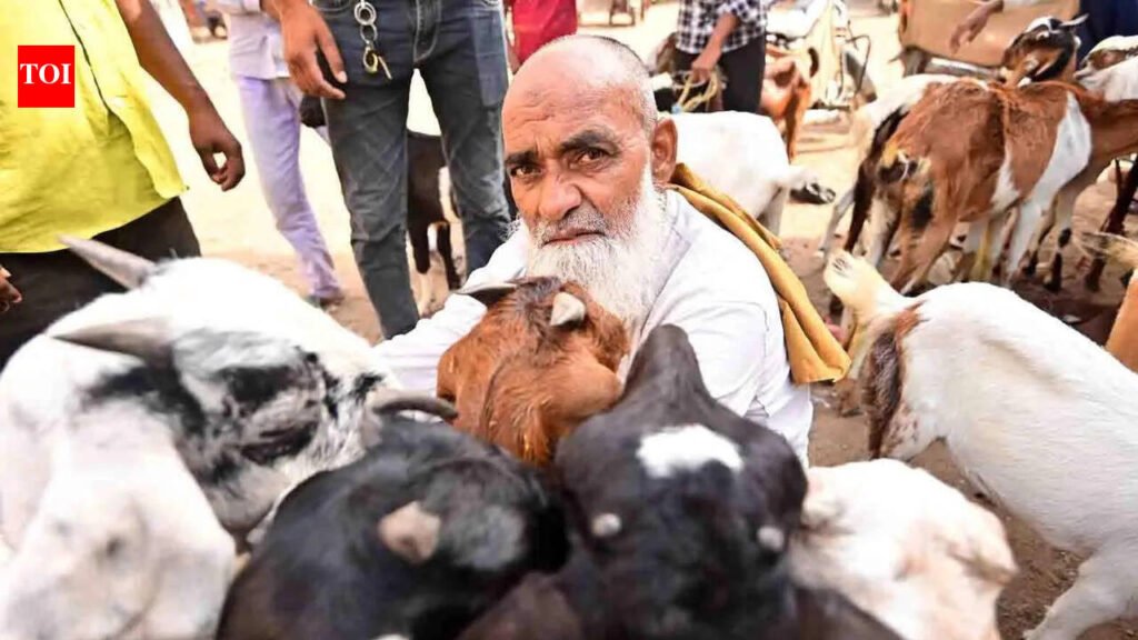 Security arrangements for Bakrid, city divided into six zones and 17 sectors | Prayagraj News