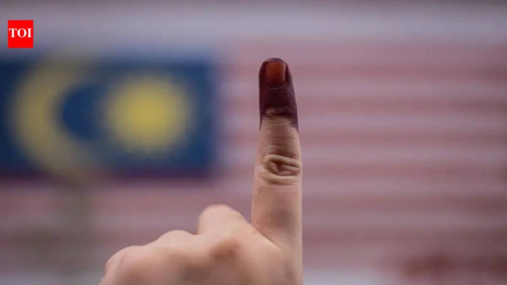 Mansa records highest voter turnout in civic elections | Chandigarh News