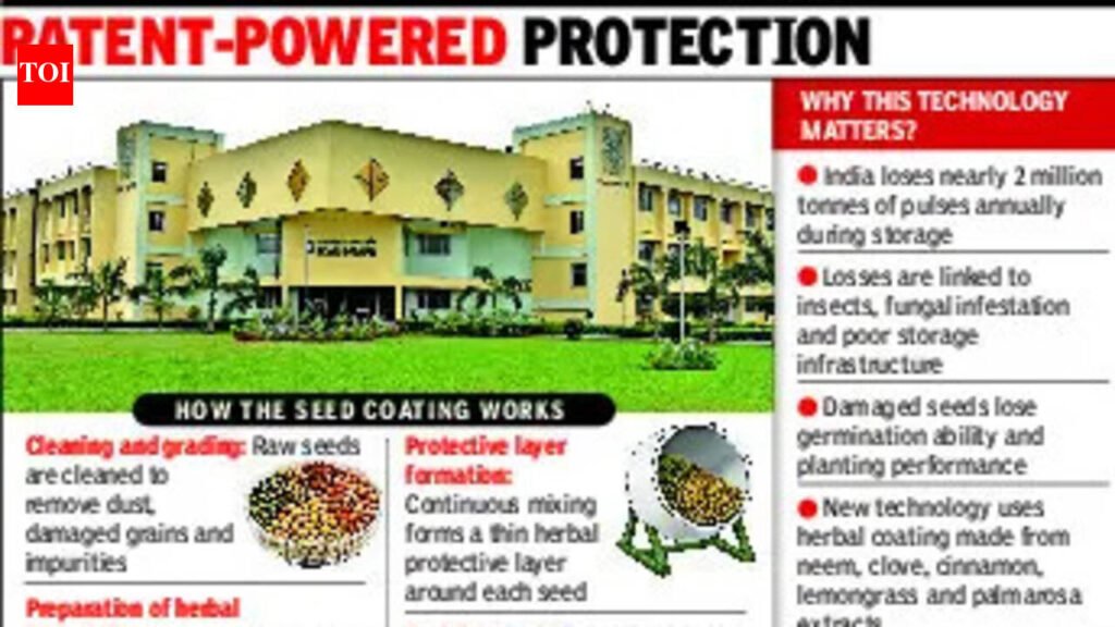 Herbal shield from Gujarat to help save millions of tonnes of foodgrains | Vadodara News