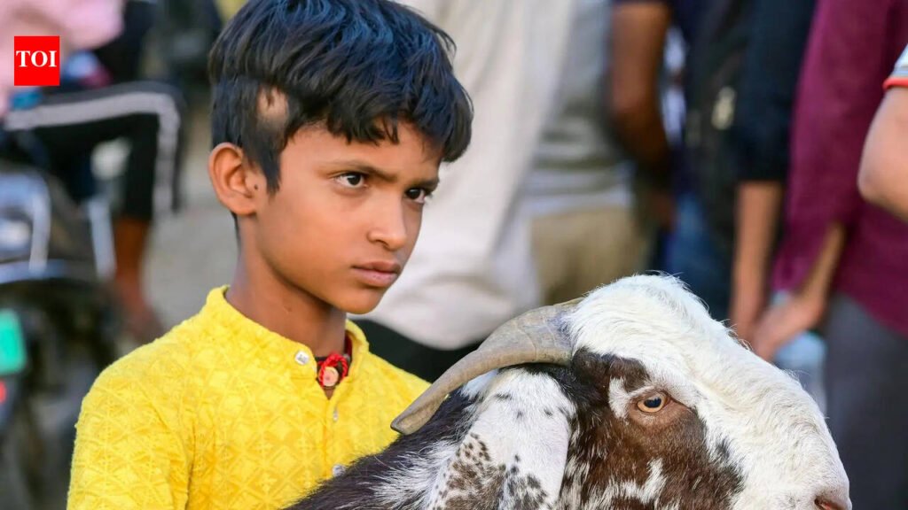 Bakrid, call for labour protest: Curbs imposed till May 30 in Noida | Noida News