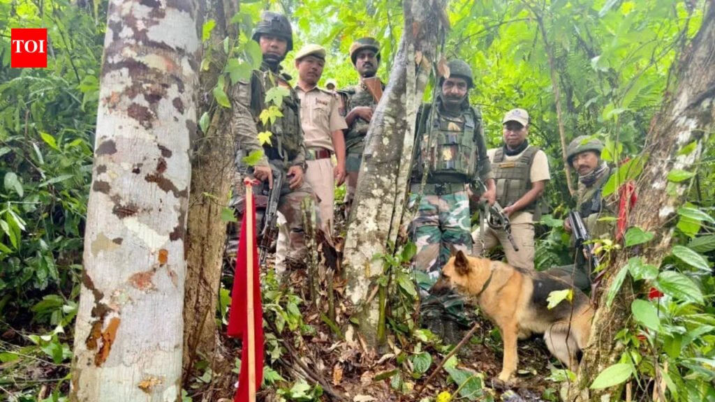 Assam Rifles recovers 3 IEDs in Jiribam | Guwahati News