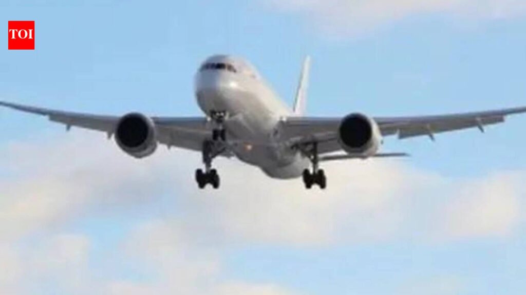 Air India, AI Express, IndiGo to slash 250 domestic flights a day
