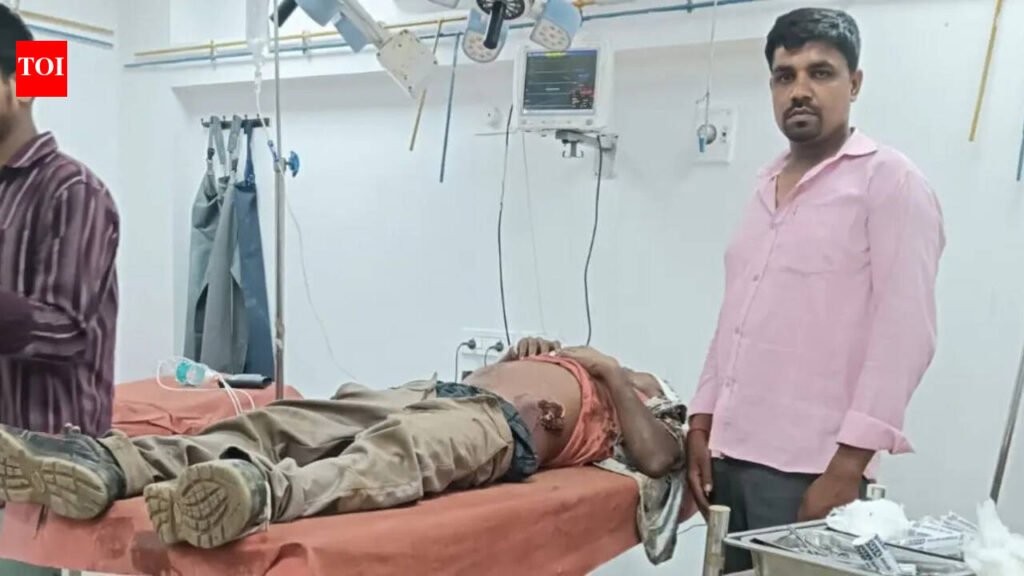 Drunk man injured after attacked by elephant herd | Ranchi News