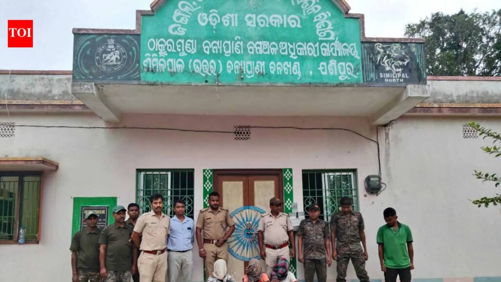 3 poachers held in Similipal, wildlife items seized | Bhubaneswar News