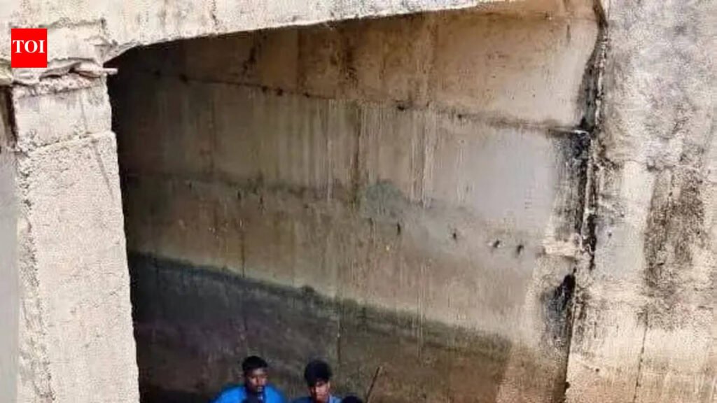 Two youths die as car falls off bridge | Bhubaneswar News