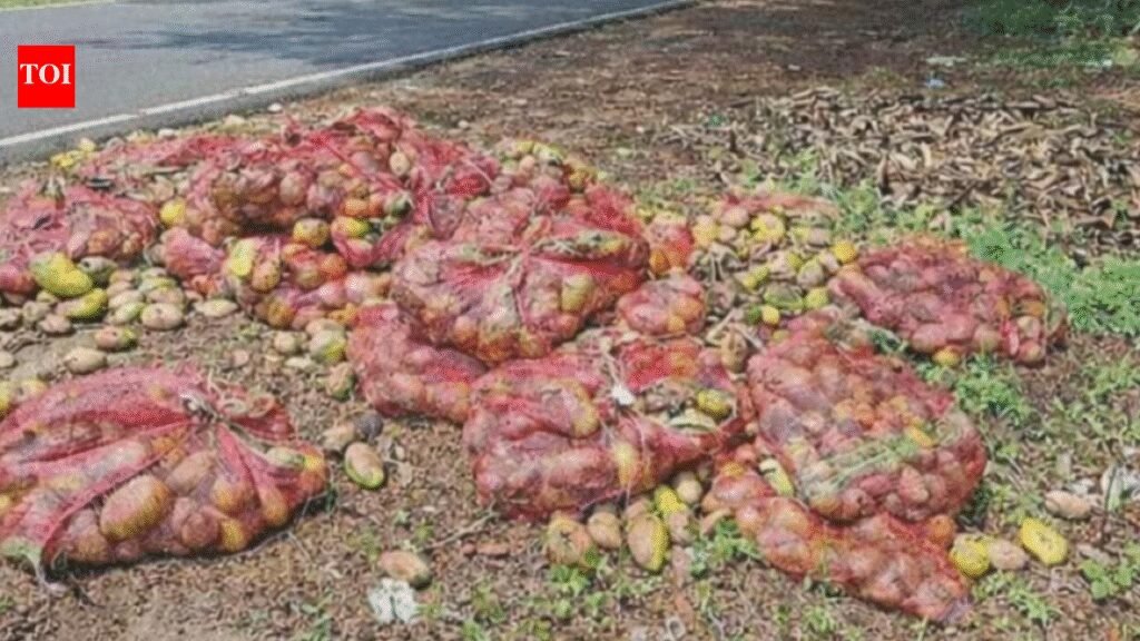 Krishnagiri farmers dump mangoes on roadsides over low price | Coimbatore News