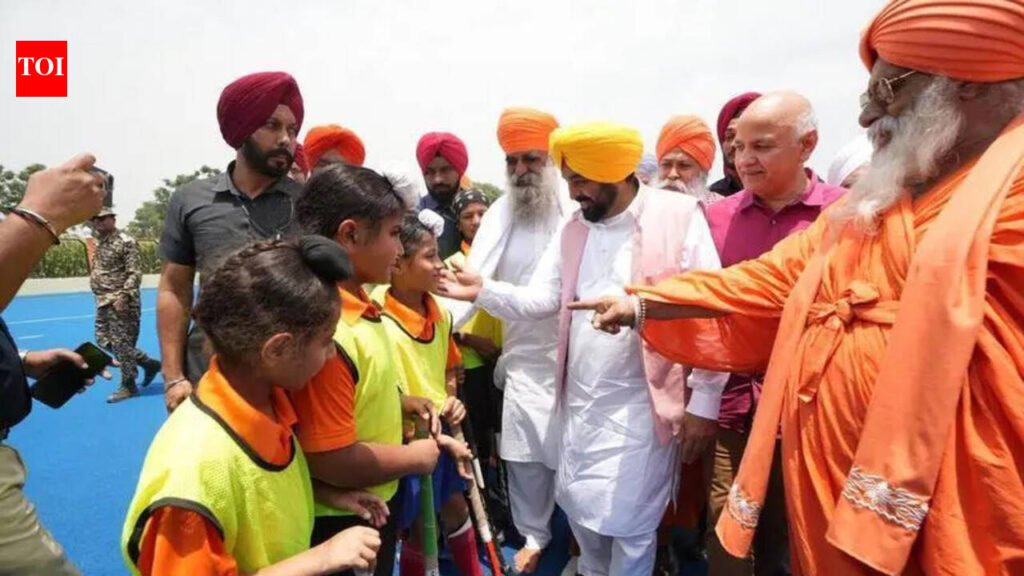 Some parties trying to divide people in Punjab: CM Mann | Chandigarh News