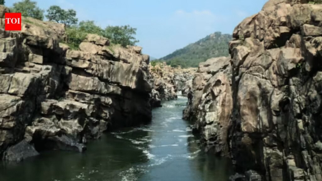Tamil Nadu govt moves NGT against Karnataka’s proposed Mekedatu dam | Chennai News