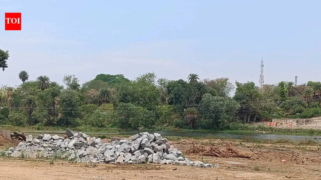 NGT issues notice to authorities, seeks response on Illegal construction, pollution in Pahuj river | Kanpur News