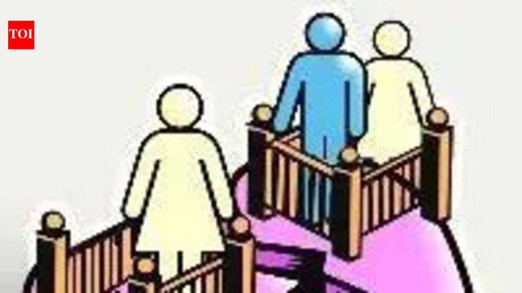 Husband’s bigamy is emotional domestic violence for wife, court rules | Ahmedabad News