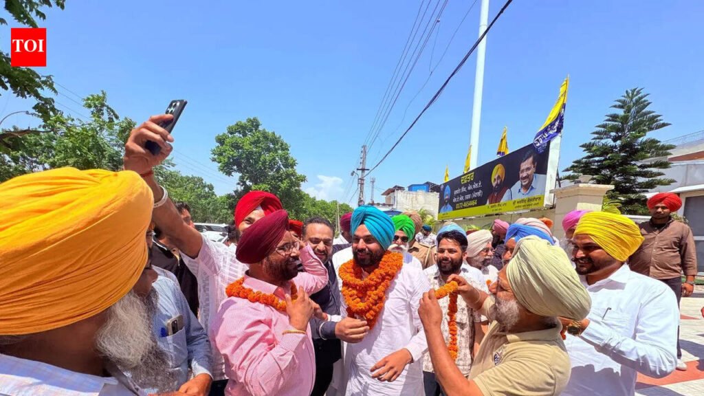 AAP sweeps over 50% seats in Mohali civic polls | Chandigarh News