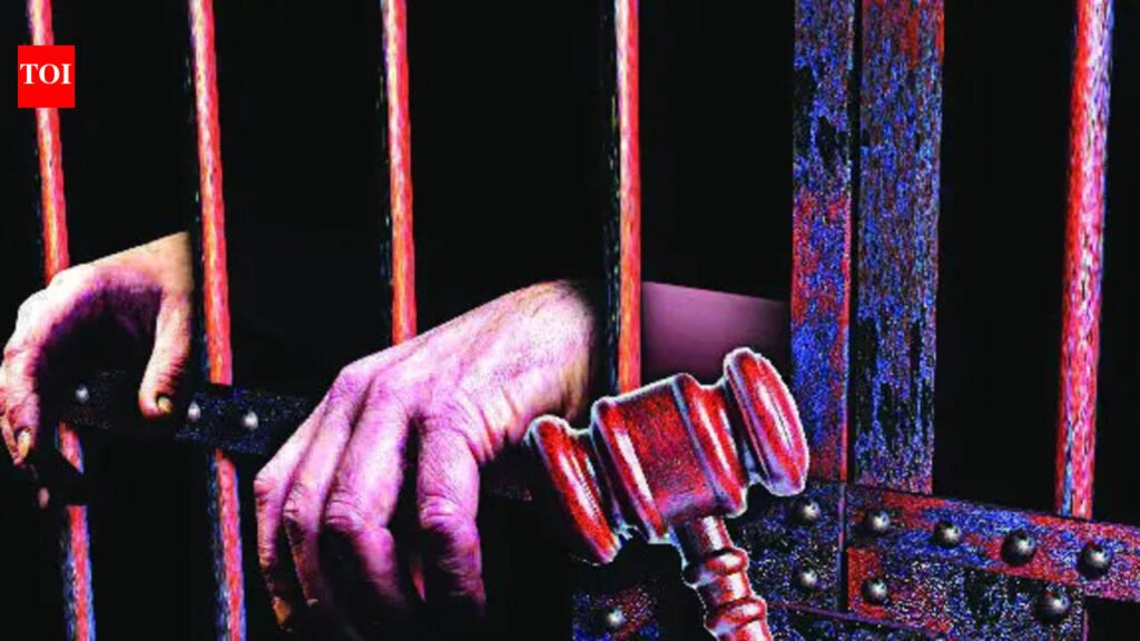 US federal court sends man from Gujarat to 10 years in prison without parole in minor trafficking case | Ahmedabad News