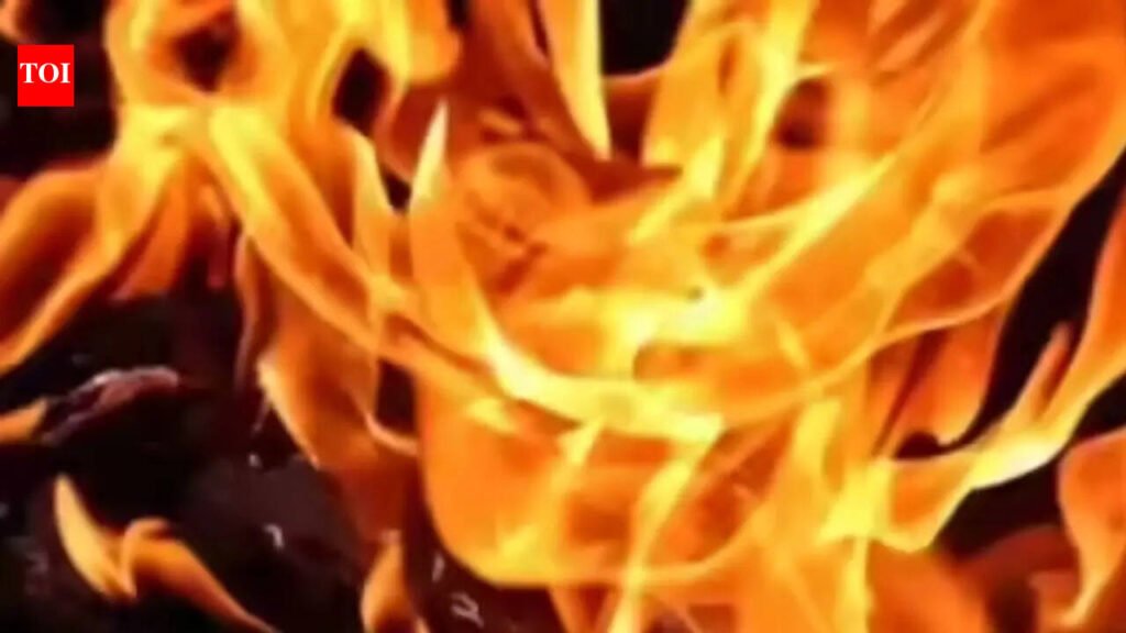 9 rescued as fire breaks out at cooler grass factory in Delhi | Delhi News