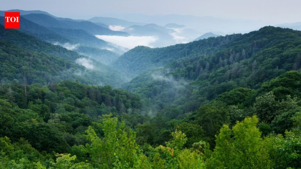 From reversing waterfalls and doorless homes; Maharashtra’s most unique wonders every curious traveller should experience