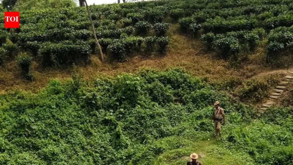 Sivasagar police intensifies border vigil amid rising Ulfa-I activities | Guwahati News