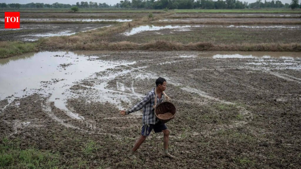 Agri ministry introduces mobile app for online fertiliser booking to keep check on black marketing | Pune News