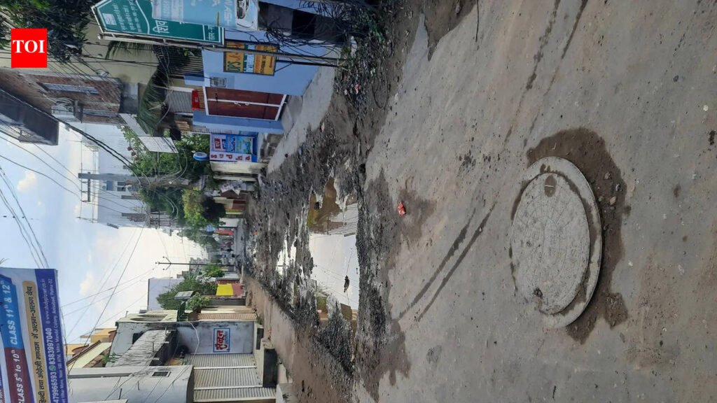 Fallen tree, dug up road cause hardships in Anisabad colony | Patna News