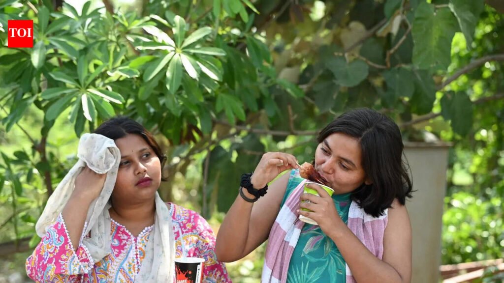 Brakes on heatwave for a while; cloudy Sunday, predicts IMD | Lucknow News