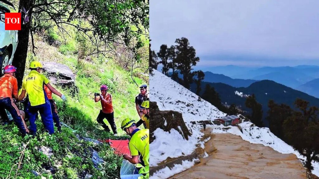 2 Lucknow brothers trekking to Tungnath killed by lightning | Dehradun News