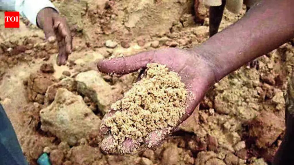Lokayukta cops bust massive illegal sand mining network | Mysuru News