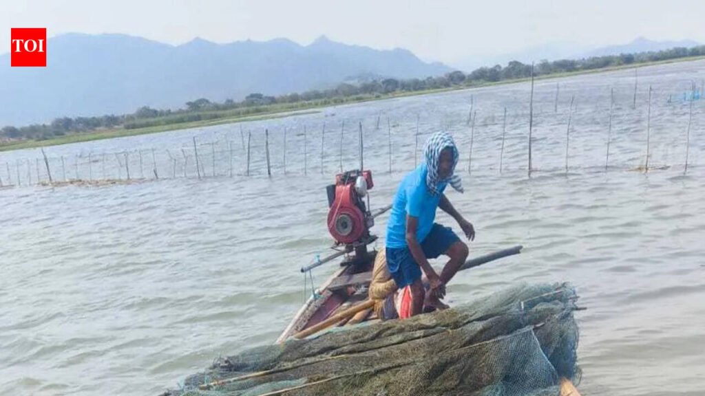 Special drive evicts 2.4k acres of illegal prawn gheries from Chilika | Bhubaneswar News