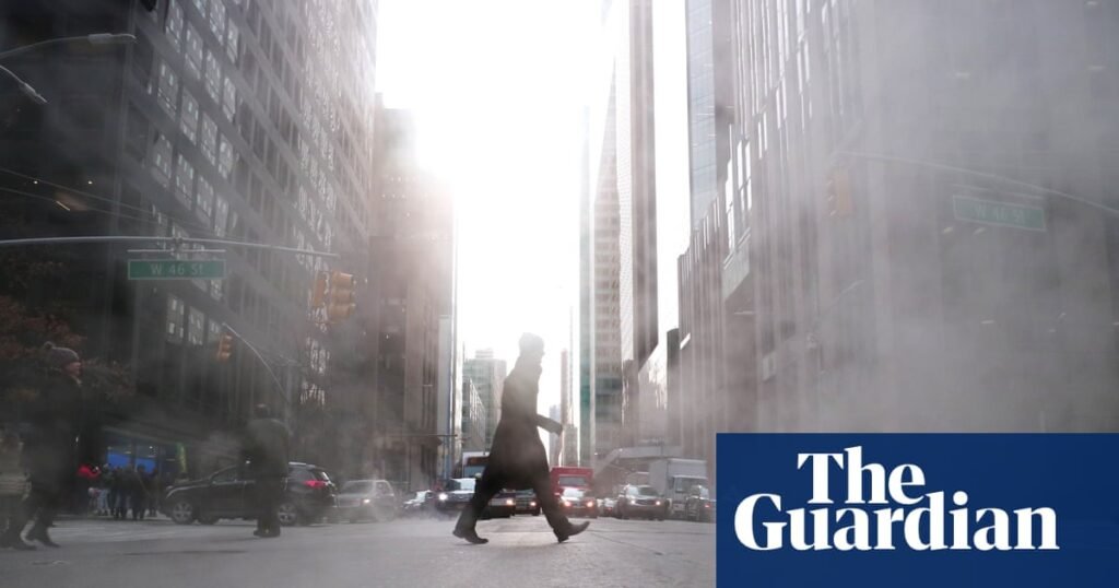 New York woman dies after stepping out of car into open manhole | New York