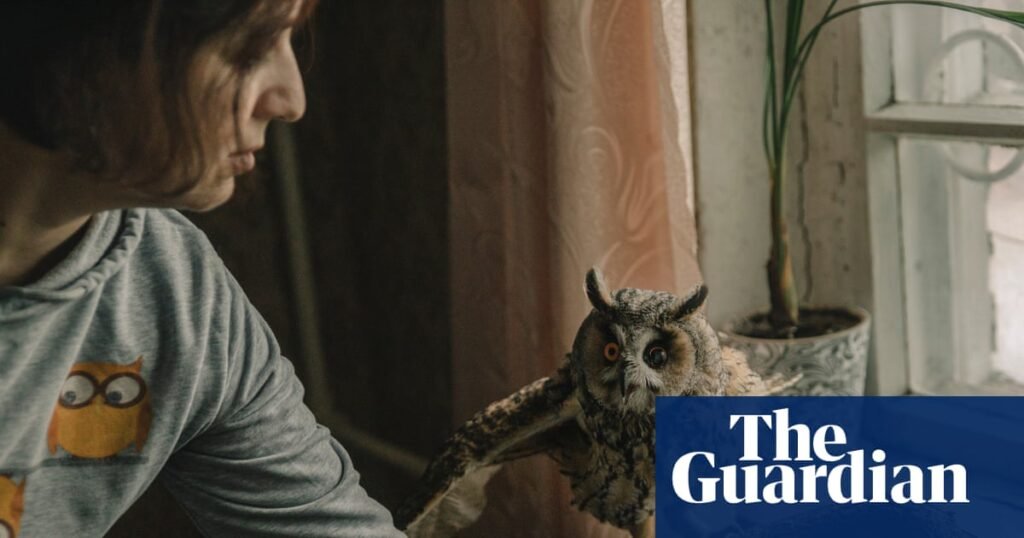 Blinded and broken, Sunny the owl becomes another casualty of Russia’s war | Birds