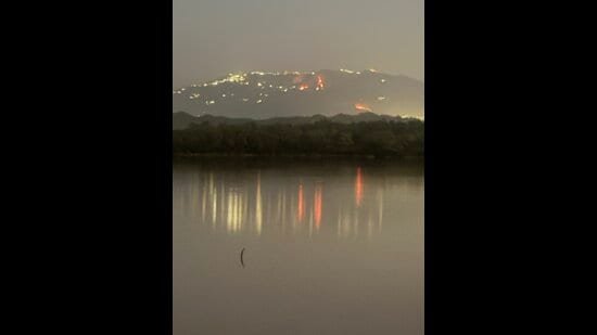 IAF choppers deployed as forest fires rage in Kasauli