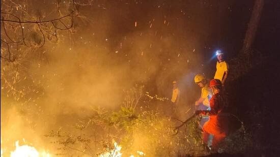 Forest fire watcher among 2 killed in separate Uttarakhand fire incidents: Official