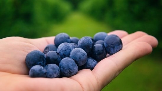 Do blueberries help reduce osteoporosis risk? Orthopaedic expert weighs in