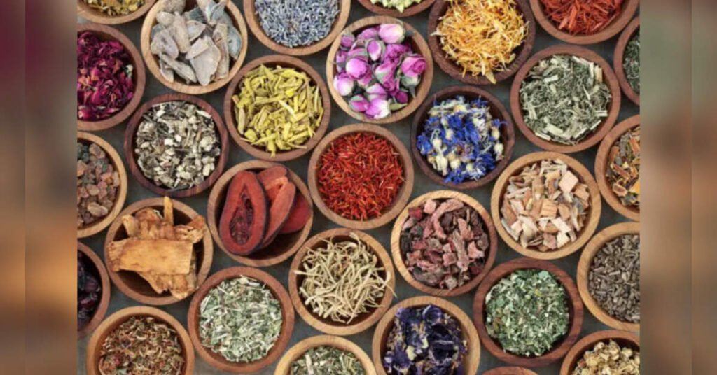 Delhi govt signs MoU to boost Ayush skills, employment opportunities, ETHealthworld