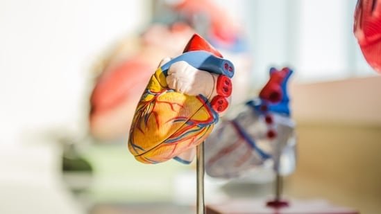 Heart surgeon shares 5 simple yet powerful things to do after 30 for a stronger heart and healthier life at 80