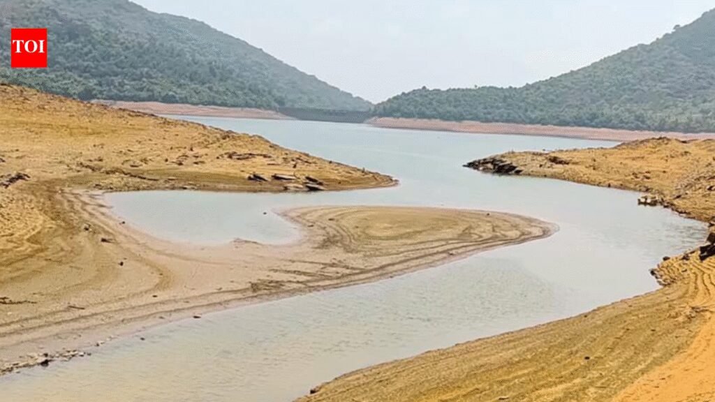 Anjunem dam water level drops to 16%, foul-smelling water sparks concern | Goa News