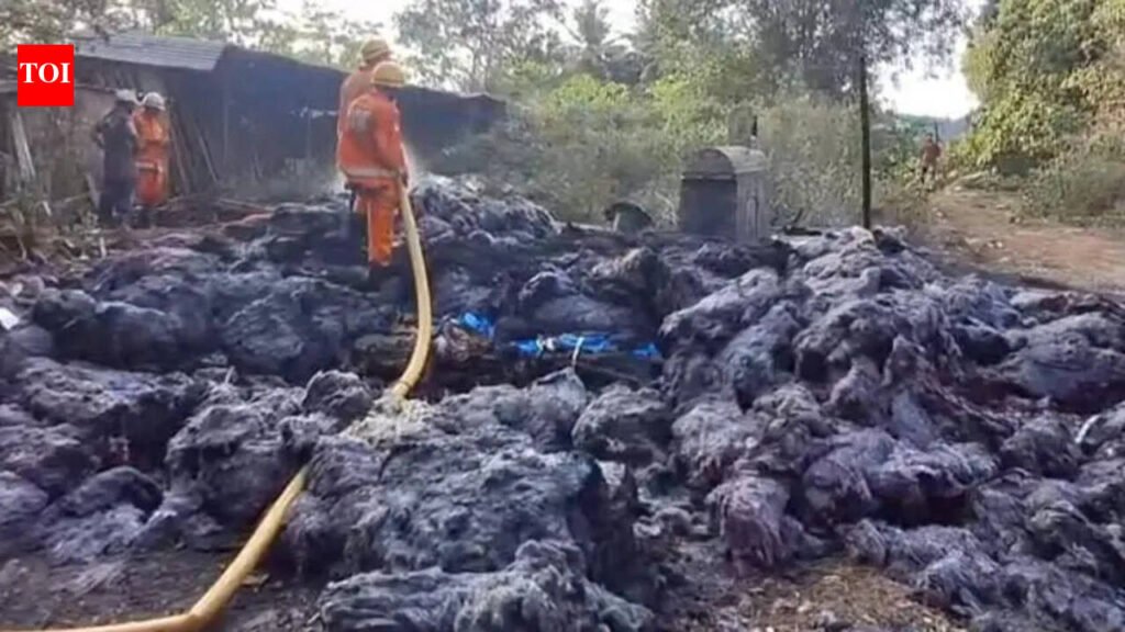 Fire destroys illegal scrapyard at Dhavali | Goa News