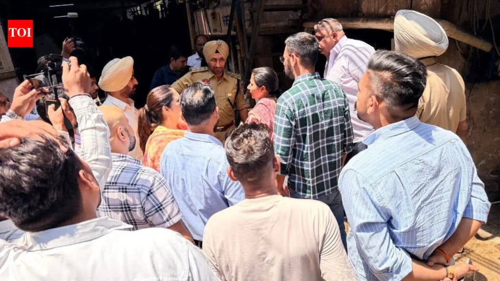 3 dead, 2 hospitalised after inhaling toxic gas while cleaning sewage tank at Ludhiana factory | Ludhiana News
