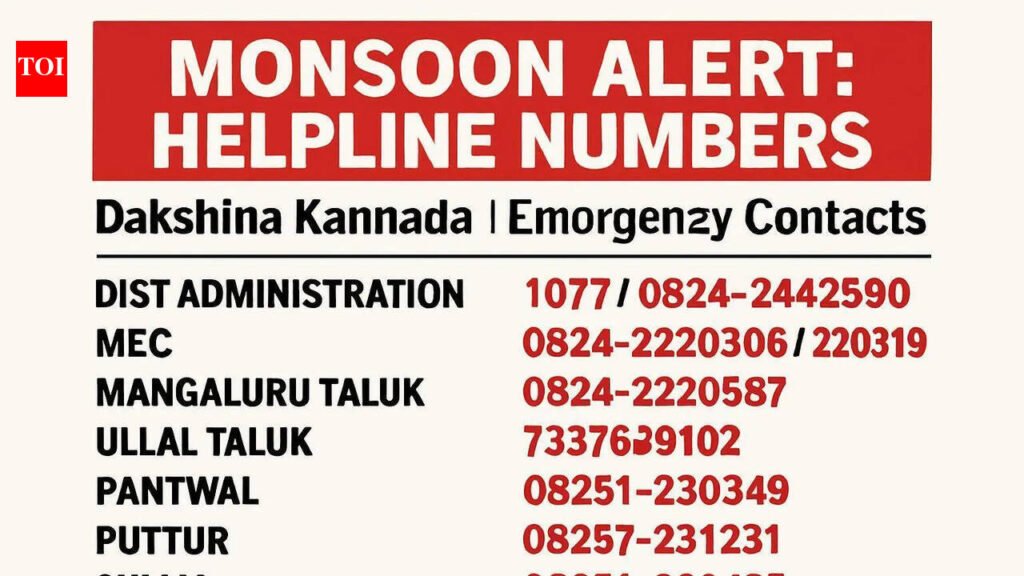 Dakshina Kannada ramps up monsoon preparedness; repairs sanctioned for 228 facilities | Mangaluru News