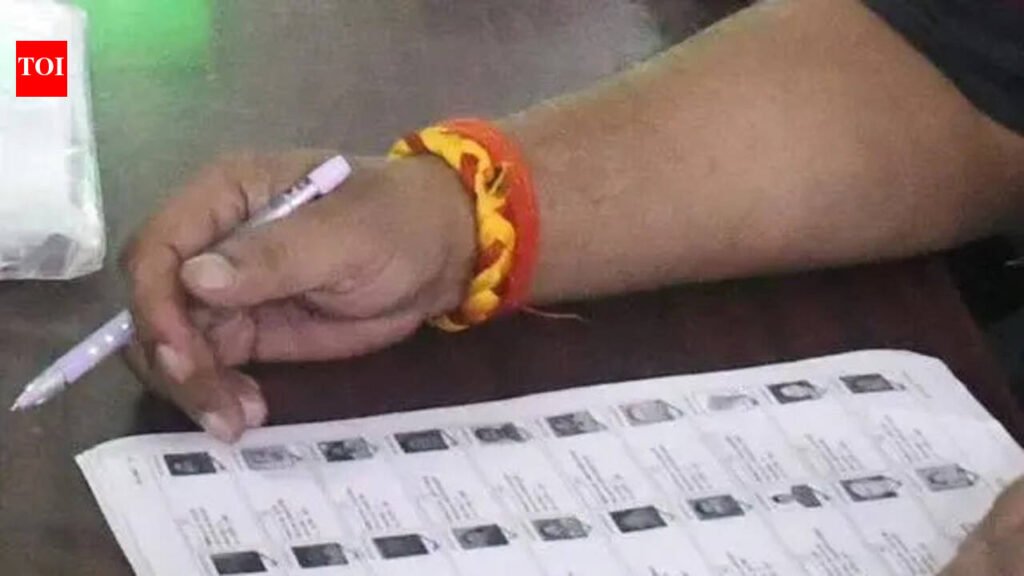 Deputy EC reviews SIR-2026, pushes for inclusive, error-free electoral rolls in Haryana | Chandigarh News